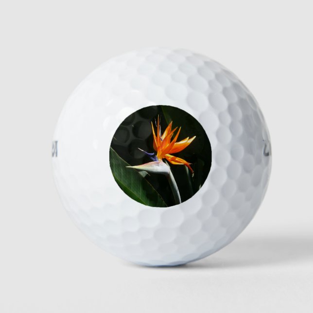 Balles De Golf Flower tropical orange paradise (Devant)