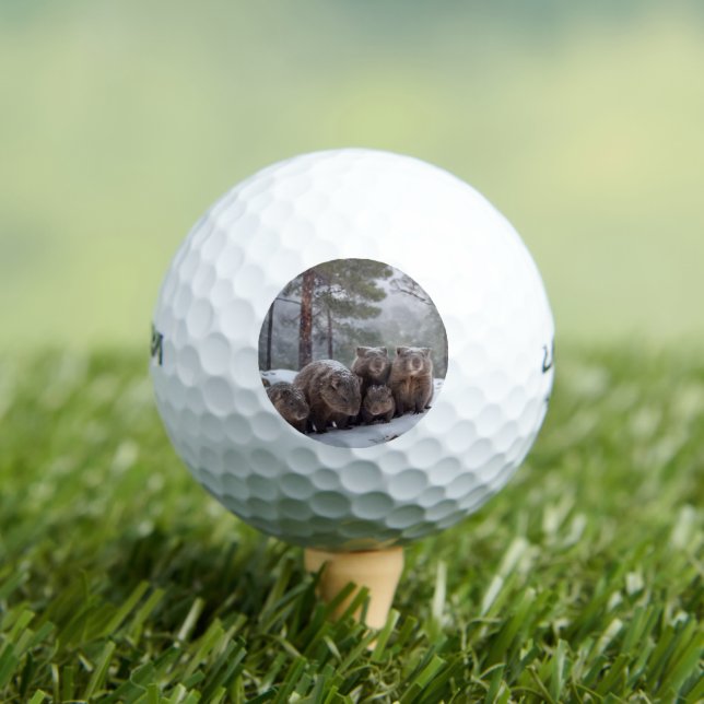 Balles De Golf Frozen Burrow : famille australienne Wombat (T-shirt Insitu)