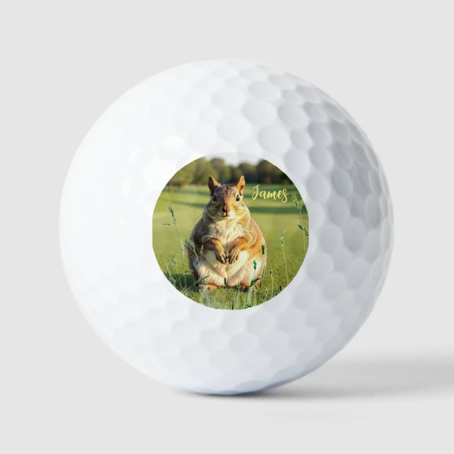 Balles De Golf Fun Fox Squirrel Golf Balls (Recto)