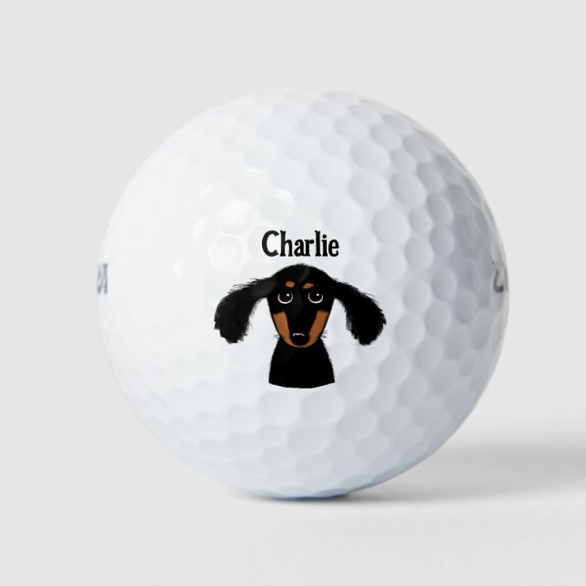 Balles De Golf Funny Longhhair Dachshund Chien Chien Chien Chien  (Devant)