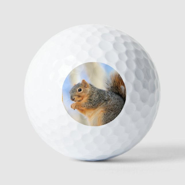 Balles De Golf Furball d'aujourd'hui (Recto)