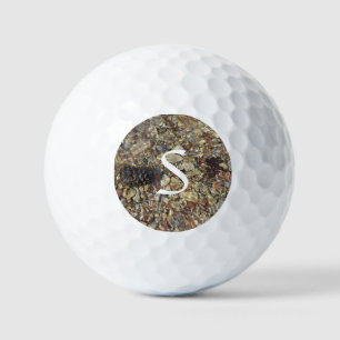 Balles De Golf Galets dans Taylor Creek Nature Photography
