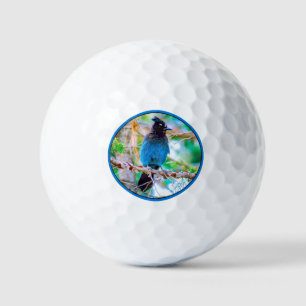 Balles De Golf Geai de Steller - Photographie originale