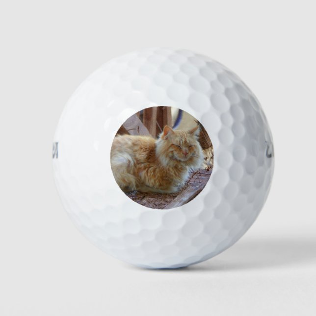 Balles De Golf Ginger George (Devant)