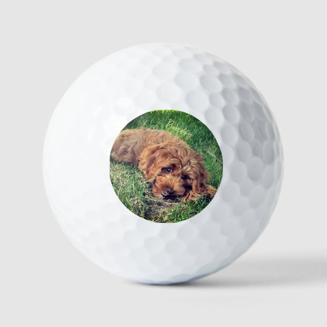 Balles De Golf Golden Doodle avec texte (Recto)