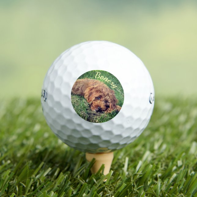 Balles De Golf Golden Doodle Callaway Soft Golf Balls (T-shirt Insitu)