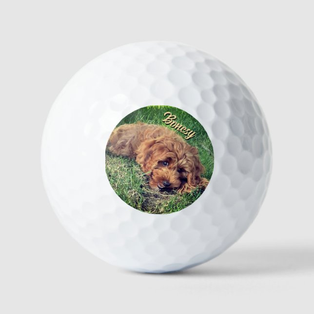 Balles De Golf Golden Doodle With Text (Recto)