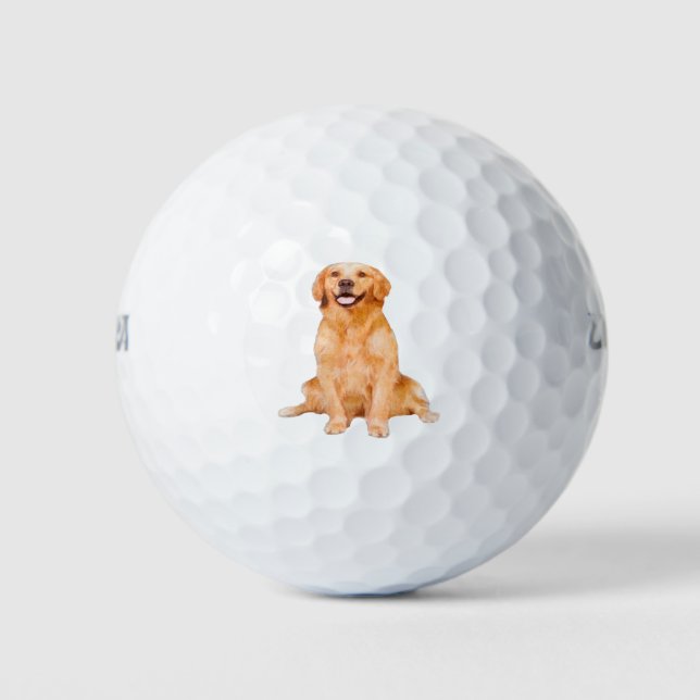 Balles De Golf Golden Retriever Sitting - Design adorable (Devant)