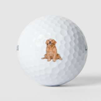 Balles De Golf Golden Retriever Sitting - Design adorable