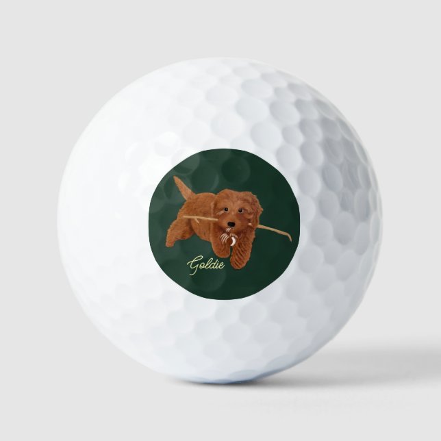 Balles De Golf Goldie Golden Doodle (Recto)