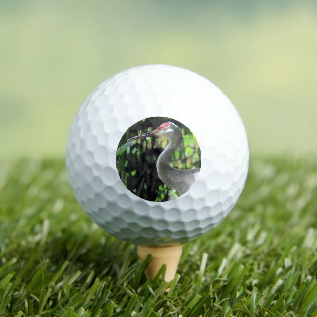 Balles De Golf Graine de Sandhill (T-shirt Insitu)