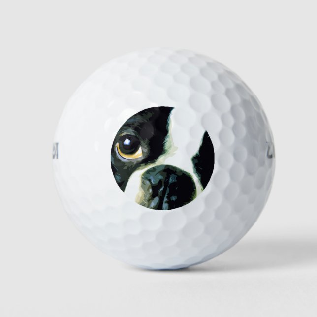 Balles De Golf grand Boston Terrier moderne (Devant)