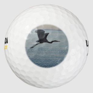 Balles De Golf Grand Héron Bleu à Naples, FL