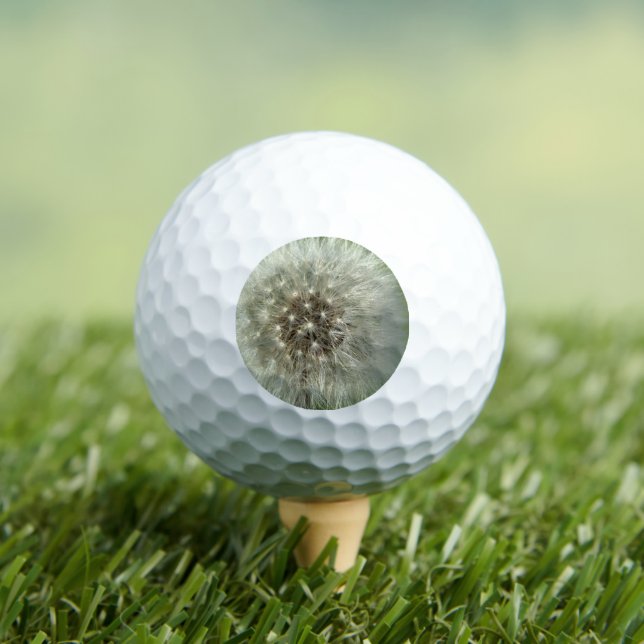 Balles De Golf Grand Pissenlit Blanc (T-shirt Insitu)