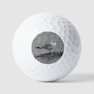 Balles De Golf Grande goéland