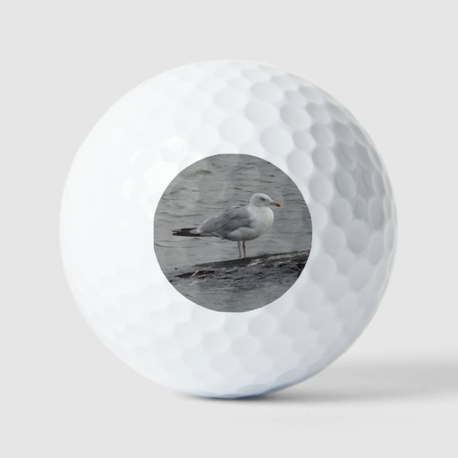 Balles De Golf Grande goéland (Recto)