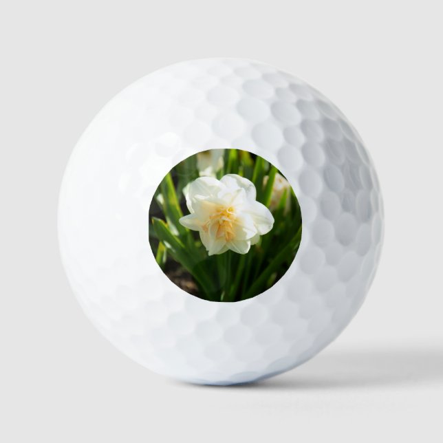 Balles De Golf Grands jonquilles blancs par un jour de printemps  (Recto)