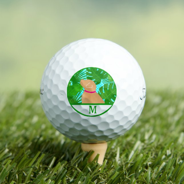 Balles De Golf Green Tropical Island Yellow Dog Golf Ball (T-shirt Insitu)