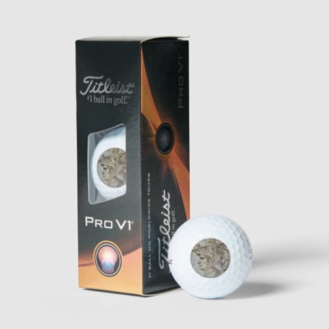 Balles De Golf Guerrier casqué de Léonard  (Da Vinci’s Warrior Golf Balls Titleist 2023 Pro V1 high gradient core high flex casing layer. )