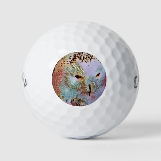 BALLES DE GOLF HIBOU (Devant)