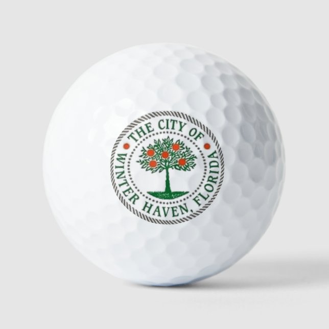 BALLES DE GOLF HIVER HAVEN FLORIDE (Recto)