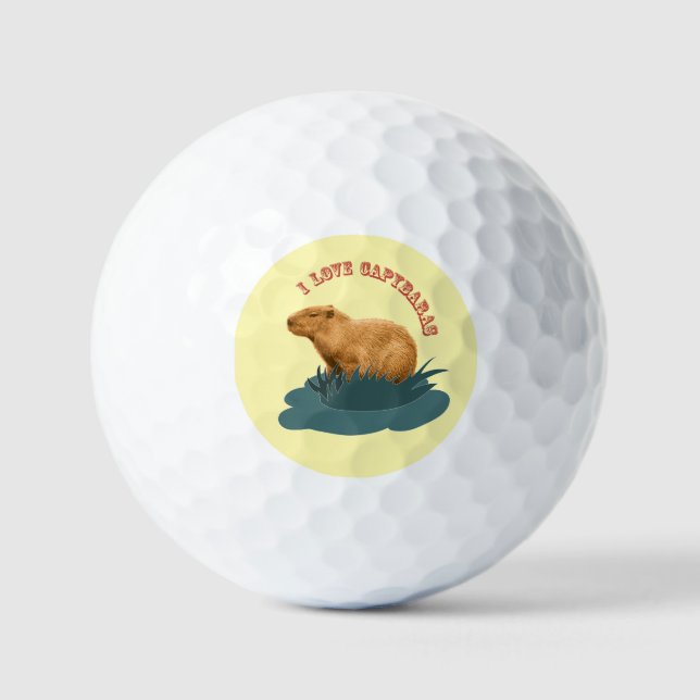 Balles De Golf I Love Capybaras (Recto)