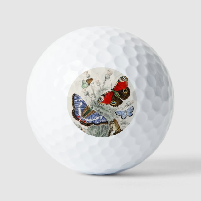 Balles De Golf Illustration botanique scientifique de papillon vi (Recto)