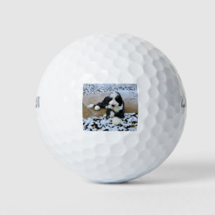BALLES DE GOLF IMG_9916