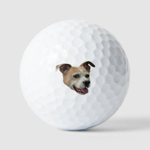 Balles De Golf Jack Russell Terrier Mix