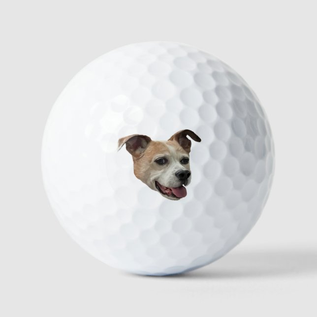 Balles De Golf Jack Russell Terrier Mix (Recto)