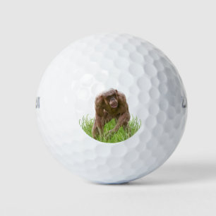 Balles De Golf Jambo Le Chimp Unique Sans Cheveux