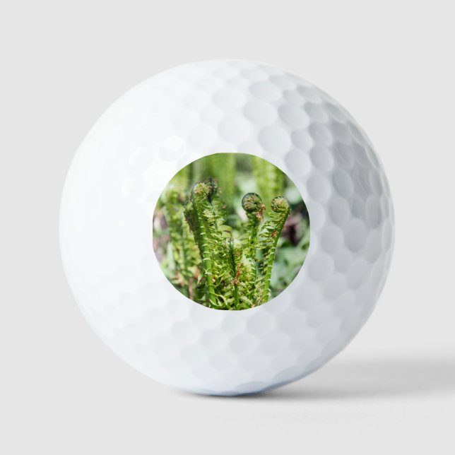 Balles De Golf Jeune fougère qui s'éveille dans le jardin  (Recto)