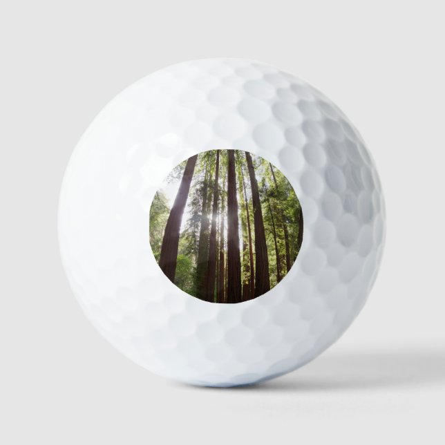 Balles De Golf Jusqu'aux séquoias au matin (Recto)