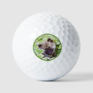 Balles De Golf Keeshond Puppy in the Garden Peinture Art original