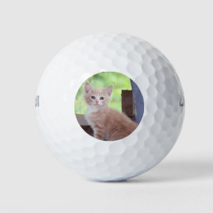 Balles De Golf Kitten