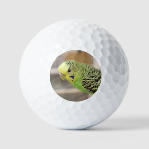 Balles De Golf Kiwi