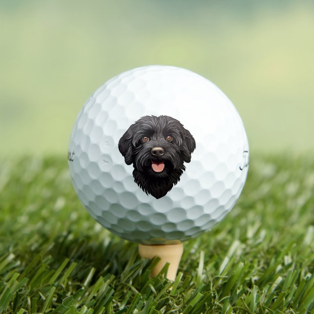 Balles De Golf Labradoodle Chien noir (T-shirt Insitu)