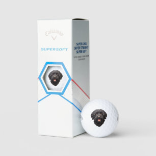Balles De Golf Labradoodle Chien noir