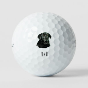 Balles De Golf Labrador chocolat Labrador noir
