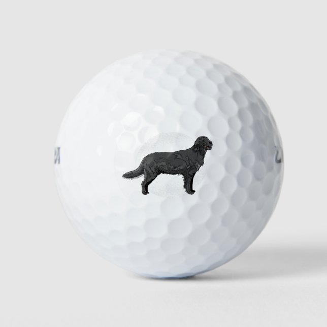 Balles De Golf Labrador noir - Chien de chasse (Devant)