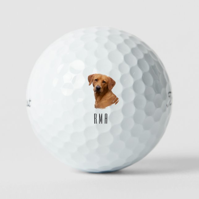 Balles De Golf Labrador Retriever Jaune (Recto)