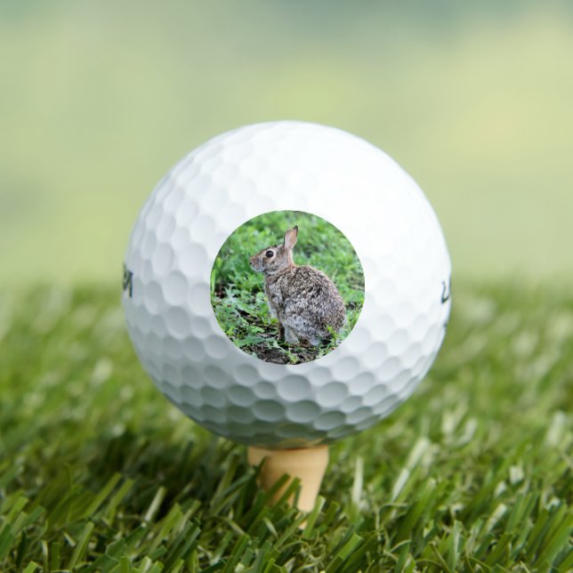 Balles De Golf Lapin (T-shirt Insitu)
