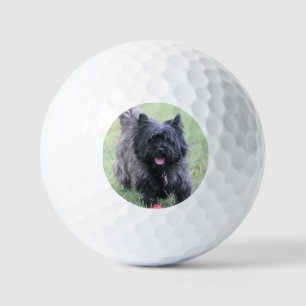 Balles De Golf Le Caire
