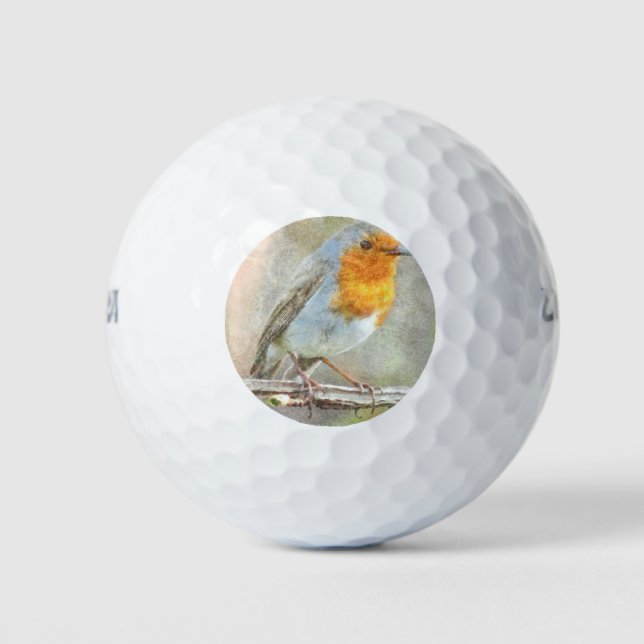 Balles De Golf Le Robin Est Une Aquarelle Gabriel (Devant)