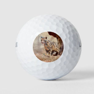 Balles De Golf léopard nébuleux image nature faune exotique