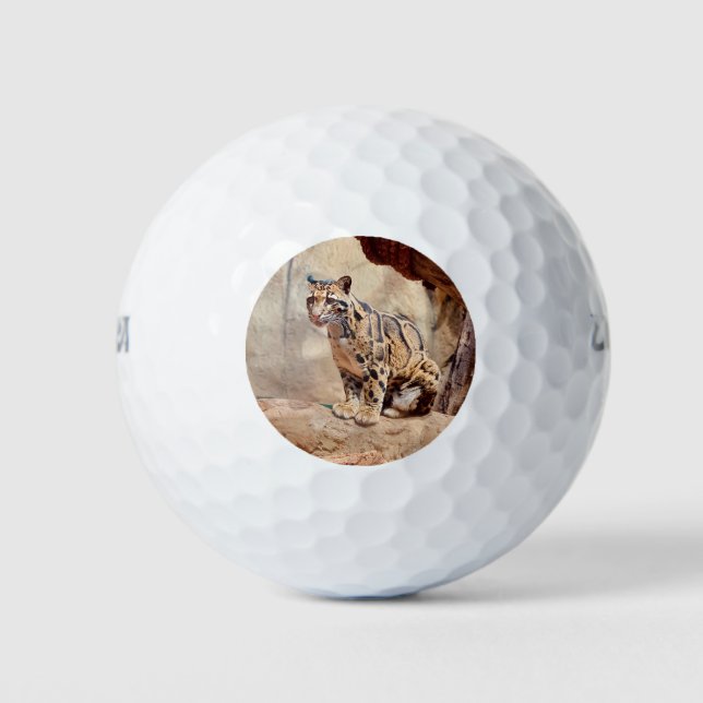 Balles De Golf léopard nébuleux image nature faune exotique (Devant)