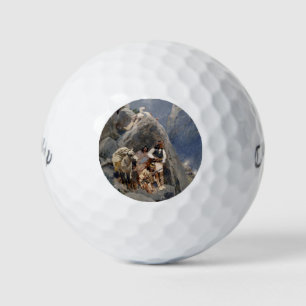 Balles De Golf Les guerriers d'Apache : une embuscade sur la cava