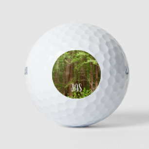 Balles De Golf Les séquoias au monument national de Muir Woods