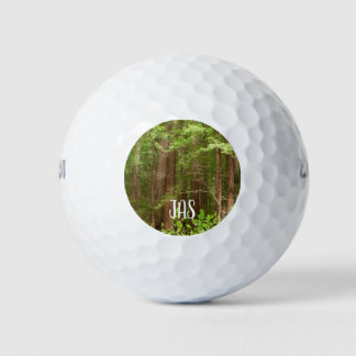 Balles De Golf Les séquoias au monument national de Muir Woods