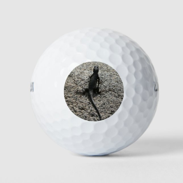 Balles De Golf Lézard noir (Devant)